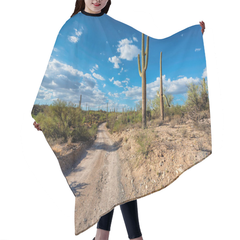 Personality  Road In Saguaro National Park, Tucson, Arizona Hair Cutting Cape