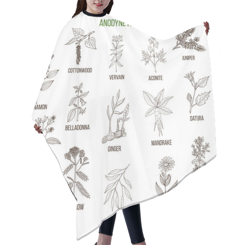 Personality  Anodyne Herbs. Hand Drawn Set Of Medicinal Plants Hair Cutting Cape