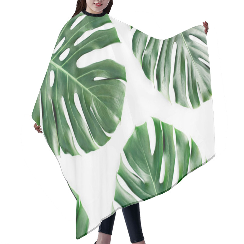 Personality  Tropical Leaves Monstera On White Background. Flat Lay, Top View Hair Cutting Cape