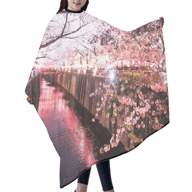 Personality  Cherry Blossom Over The Meguro River At Night  Hair Cutting Cape