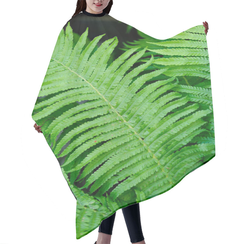 Personality  Shrubs Fern Background Hair Cutting Cape