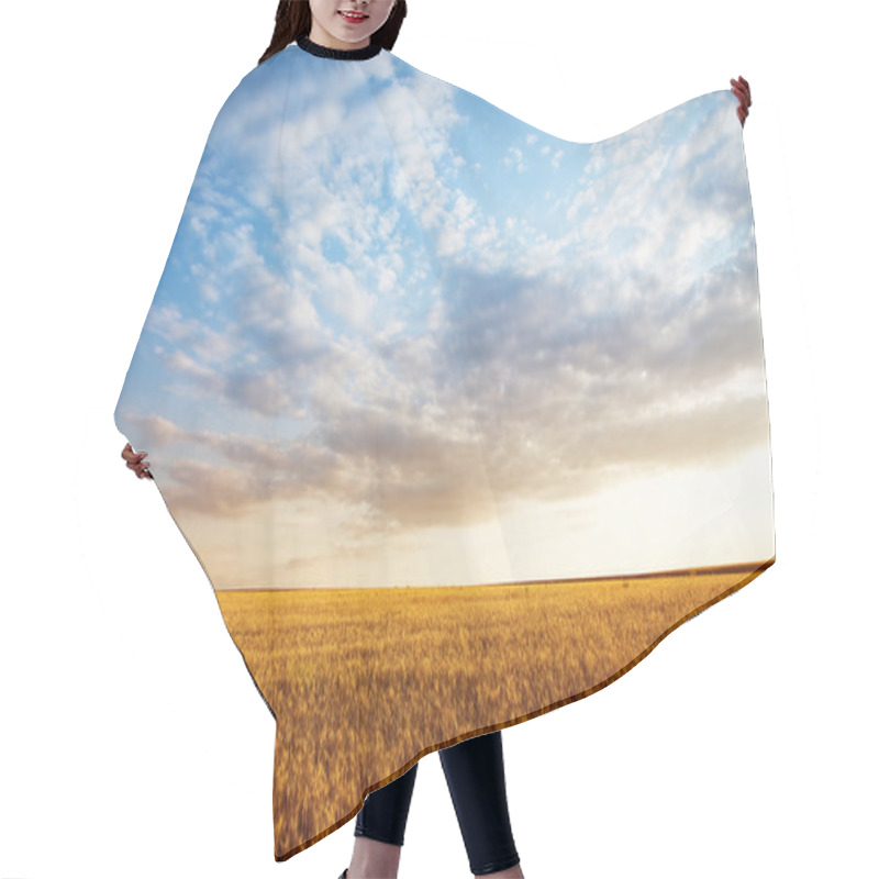 Personality  Summer Landscape - Wheat Field Hair Cutting Cape