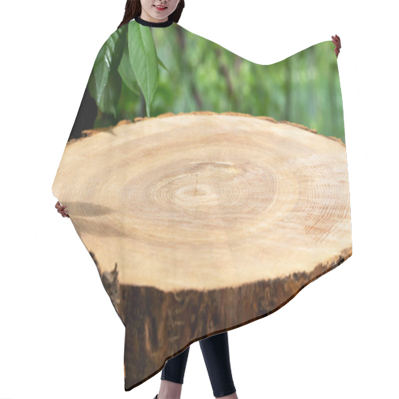 Personality  Round Deck For Chopping Firewood In Sunlight Under Trees With Green Leaves. A Podium For Products. Preparation For The Winter. Natural Resources. Advertise Your Product. . Close-up Hair Cutting Cape