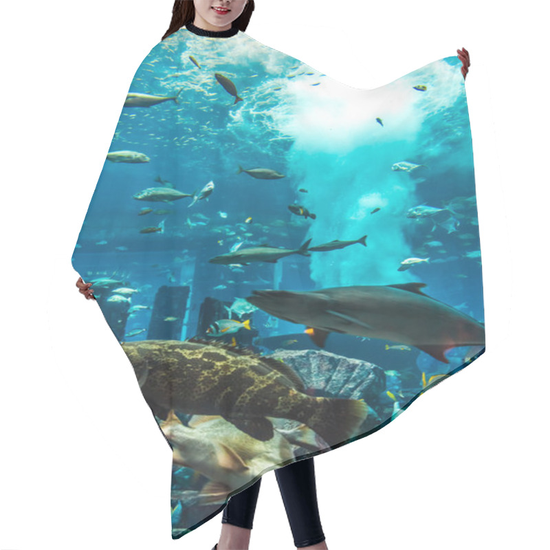 Personality  Aquarium Tropical Fish On A Coral Reef Hair Cutting Cape