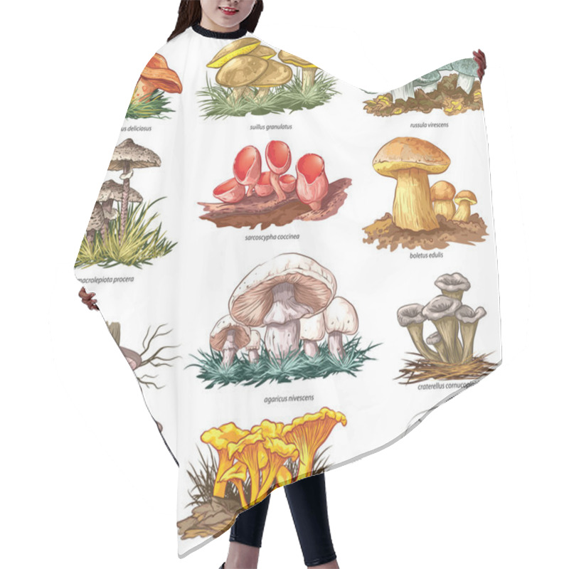 Personality  Edible Mushrooms Hair Cutting Cape