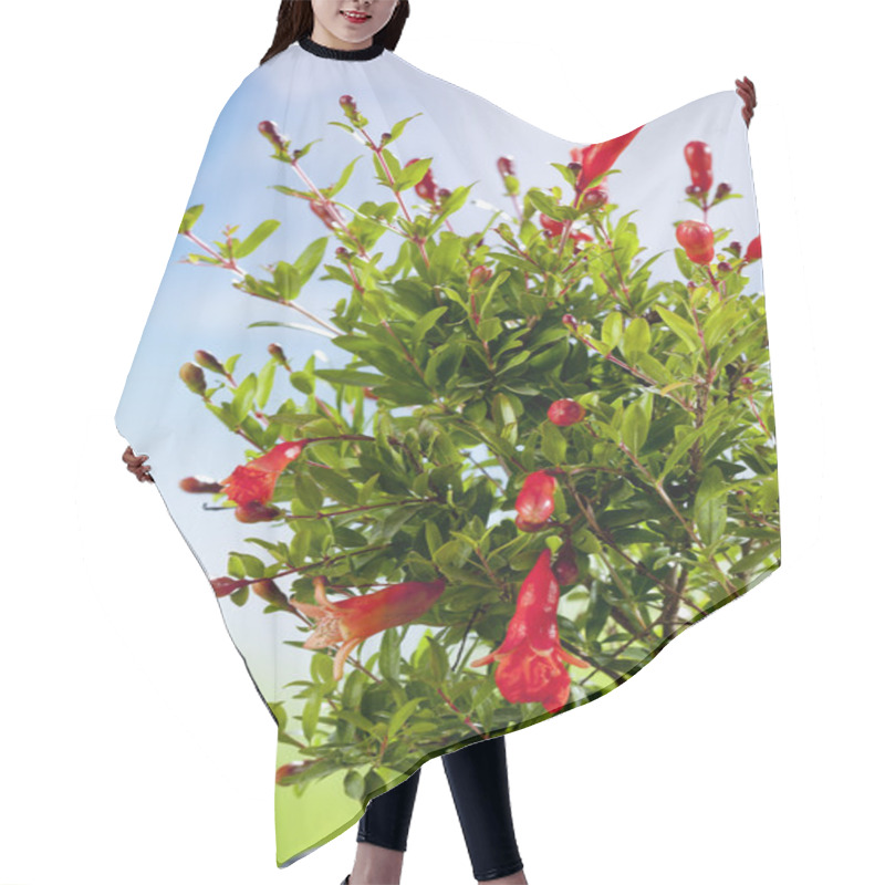 Personality  Pomegranate Blossom On Bush Hair Cutting Cape