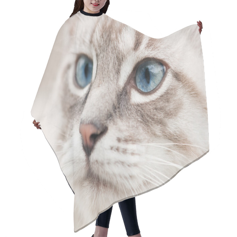 Personality  Cat Head Hair Cutting Cape