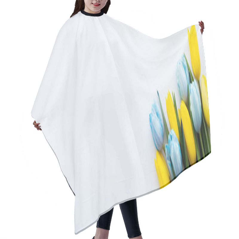 Personality  Top View Of Yellow And Blue Tulips With Leaves On White Background, Banner  Hair Cutting Cape