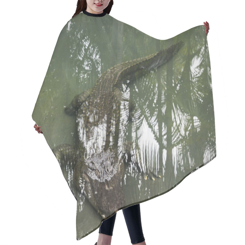 Personality  Alligator Swimming Underwater Hair Cutting Cape