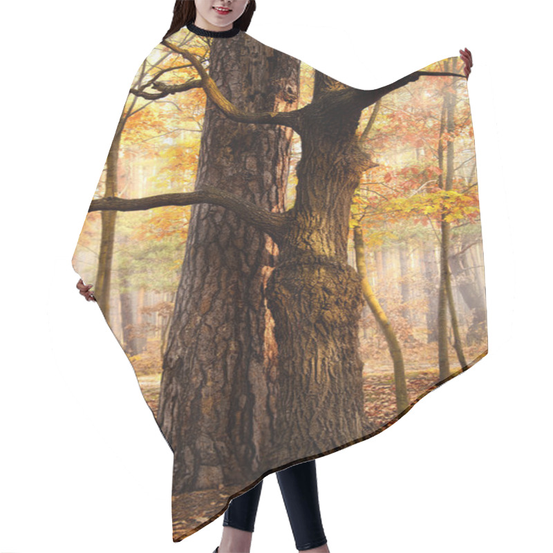 Personality  Beautiful Fall Forest Hair Cutting Cape