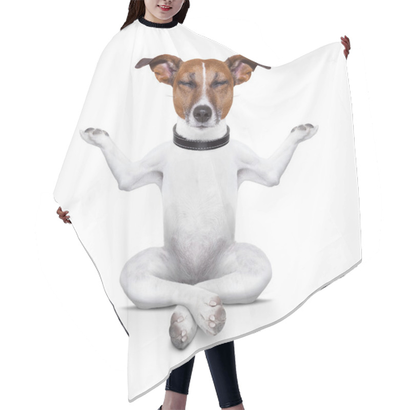 Personality  Yoga Dog Hair Cutting Cape