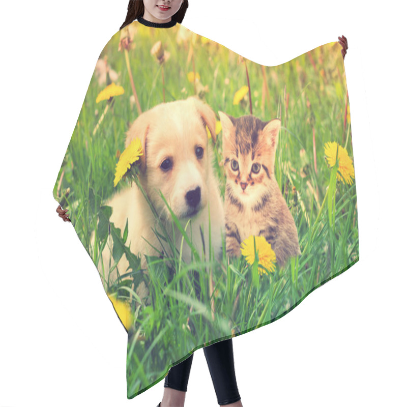 Personality  Kitten And Puppy  Hair Cutting Cape