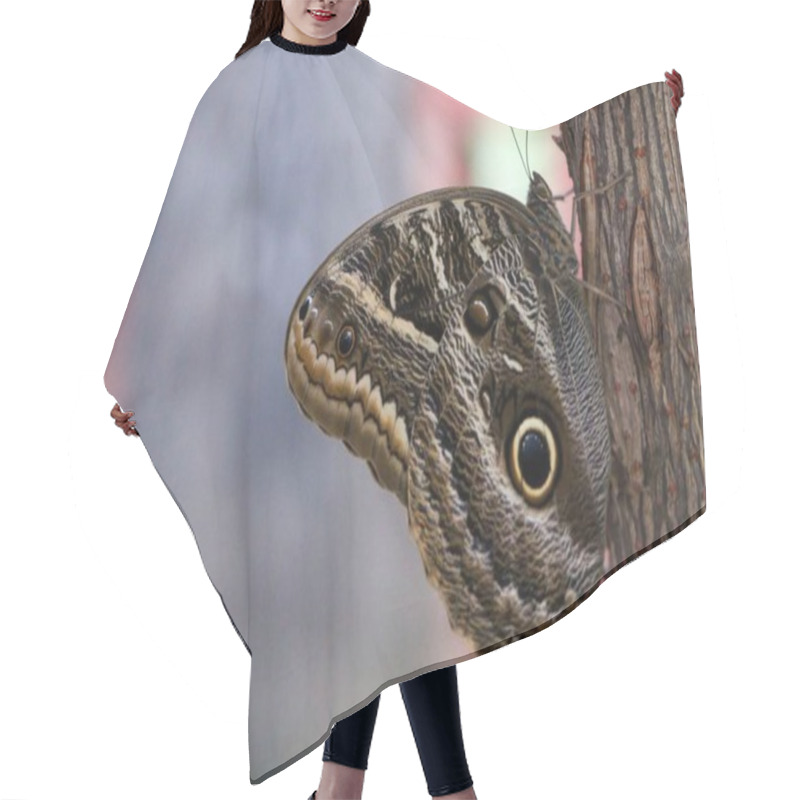 Personality  Close-up Of An Intricately Patterned Butterfly Perched On The Bark Of A Tree Trunk, With Large, Prominent Eyespots And A Blurred Natural Background. Hair Cutting Cape