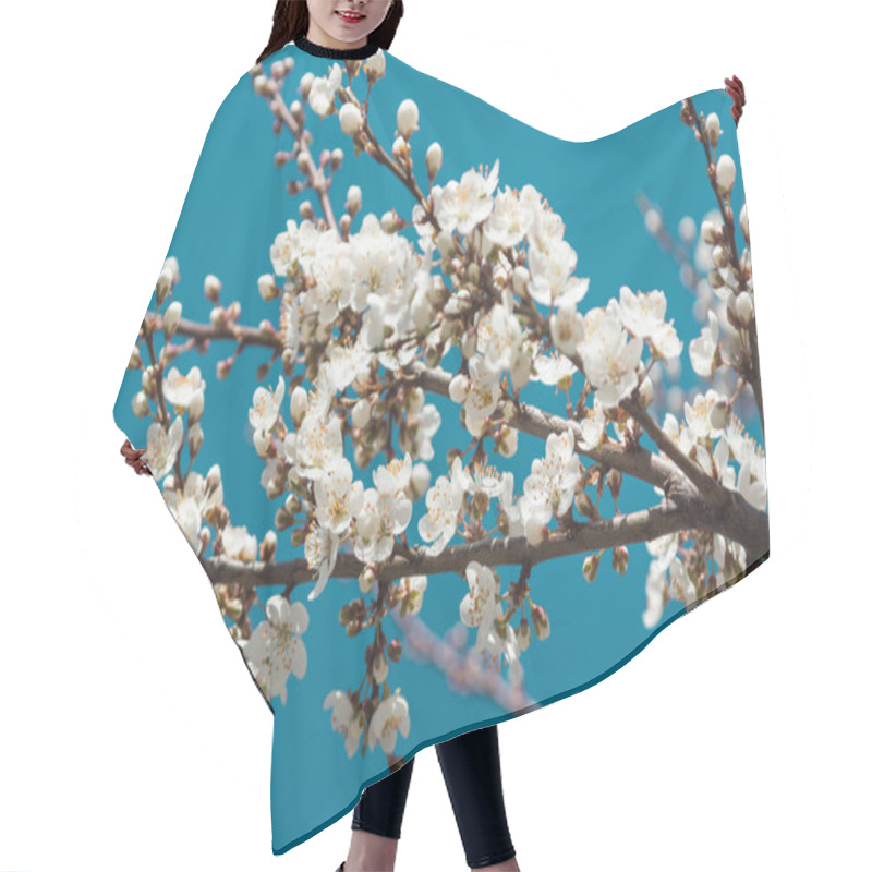 Personality  Sunny Day And Plum Tree With White Spring Blossoms Hair Cutting Cape