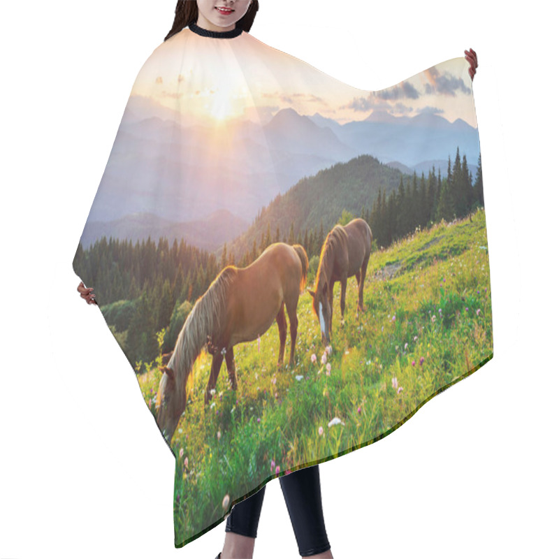 Personality  Wild Horses Like Mustangs Graze On Clean Alpine Meadows. Blooming Meadows Against The Backdrop Of Beautiful Forest Peaks, The Sun Is Setting, A Warm Summer Evening Hair Cutting Cape