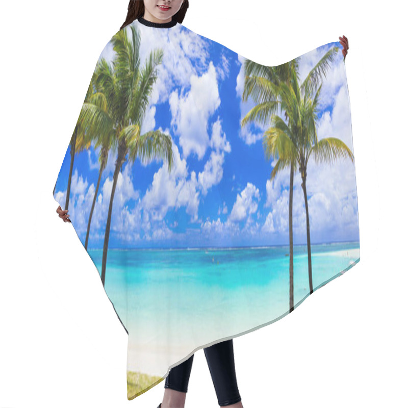 Personality  Idyllic Tropical Scene With Palmtrees And Turquoise Sea. Mauritius. Hair Cutting Cape