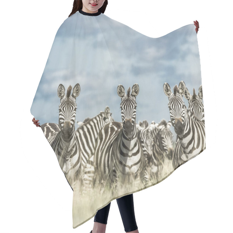 Personality  Herd Of Zebra In The Wild Savannah, Serengeti, Africa Hair Cutting Cape