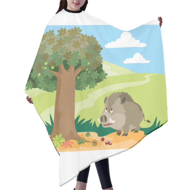 Personality  A Big Wild Boar Is Standing Under An Oak Tree And Is Going To Look For Acorns, Cartoon Illustration, Vector, Eps Hair Cutting Cape