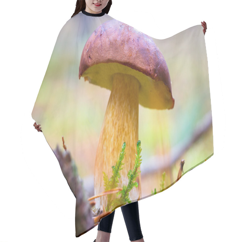 Personality  Boletus Badius Mushroom Hair Cutting Cape