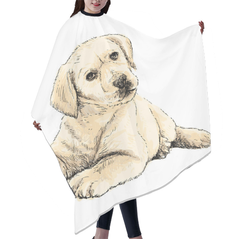 Personality  Labrador Retriever Hair Cutting Cape