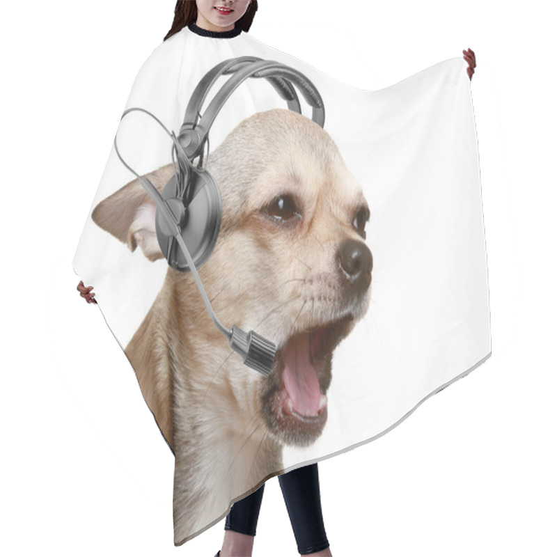 Personality  Chihuahua Telephone Operator Hair Cutting Cape