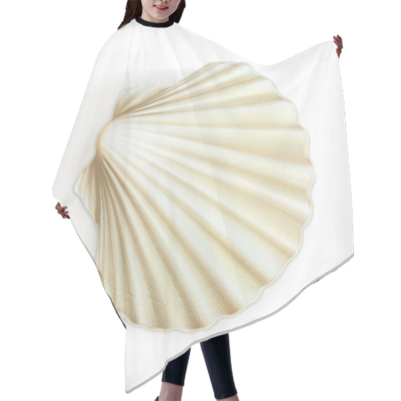 Personality  Seashell Icon On White Hair Cutting Cape