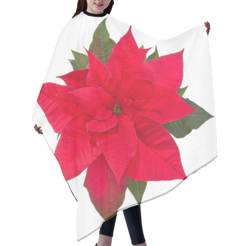 Personality  Poinsettia Flower On White - Top View Hair Cutting Cape