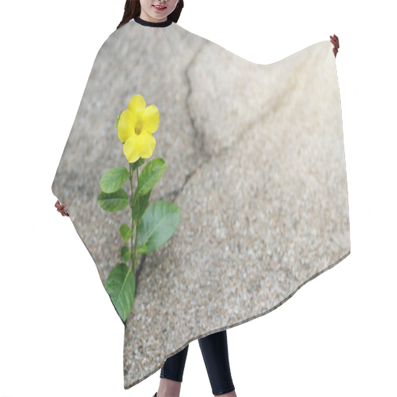 Personality  Yellow Flower Growing On Crack Street, Hope Concept Hair Cutting Cape