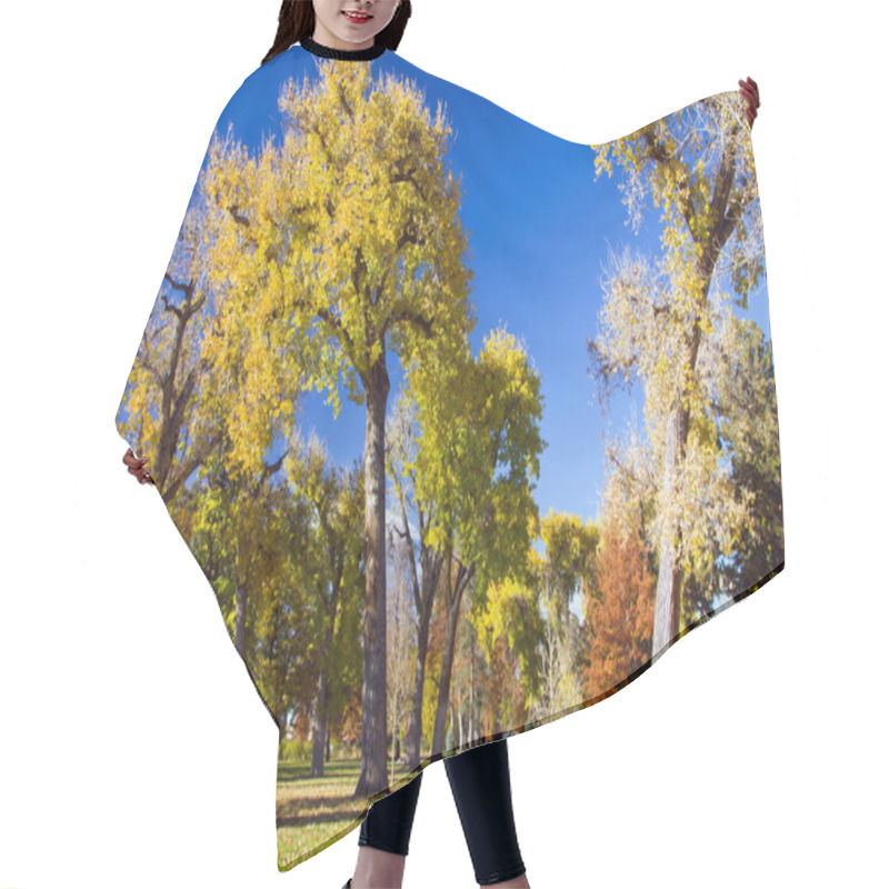 Personality  Sunny Fall Day In The Park Hair Cutting Cape