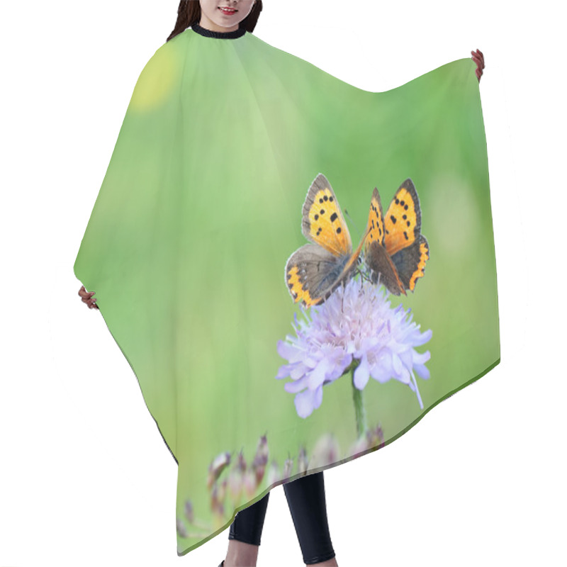 Personality  Butterflies On Flower Hair Cutting Cape