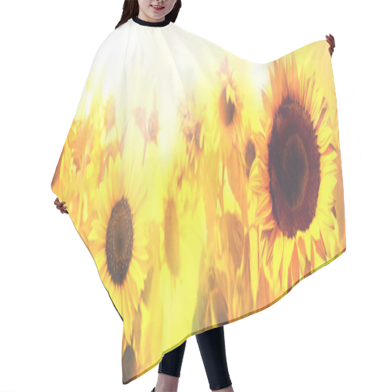 Personality  Field Of Sunflowers Hair Cutting Cape