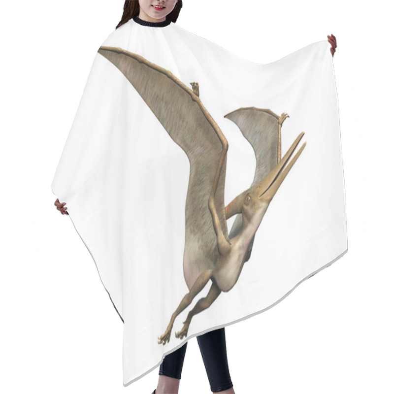 Personality  3D Rendering Pteranodon On White Hair Cutting Cape