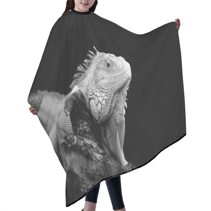 Personality  Iguana On Dark Background Hair Cutting Cape