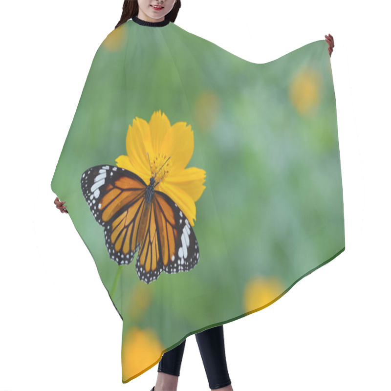 Personality  Butterfly (Common Tiger) And Flower In Nature Hair Cutting Cape