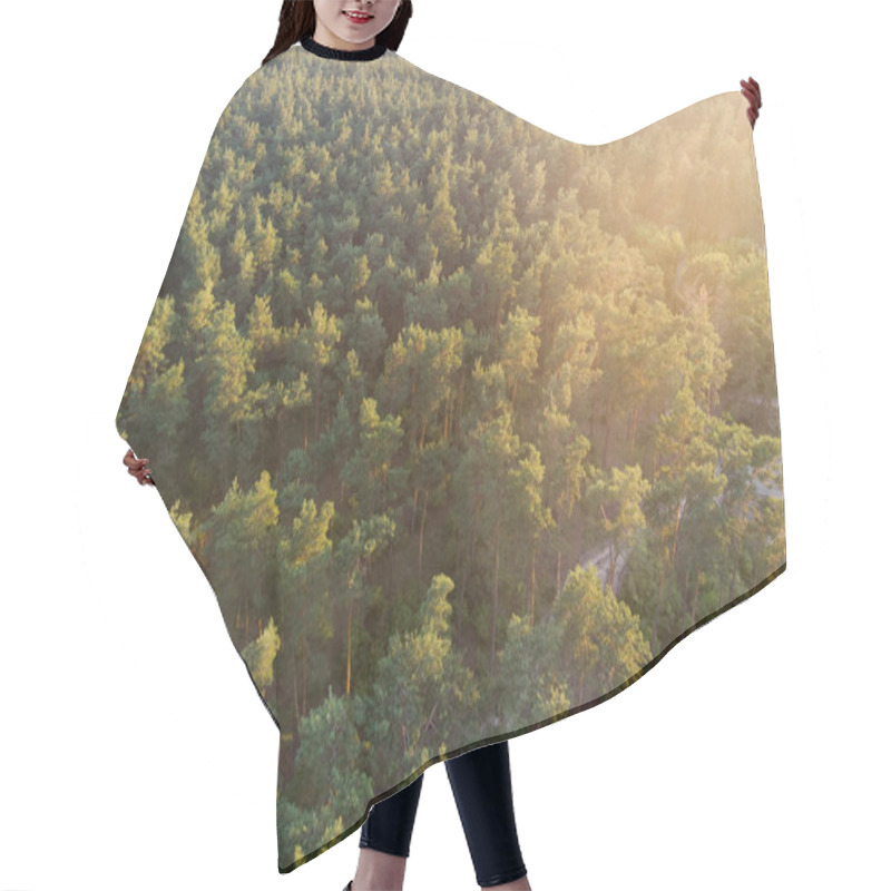 Personality  Pine Forest - Top View. Nature, Travel Hair Cutting Cape