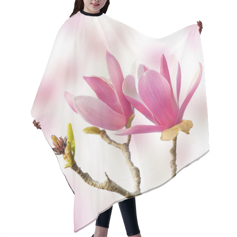 Personality  Pink Magnolia Flowers Isolated On White Background Hair Cutting Cape