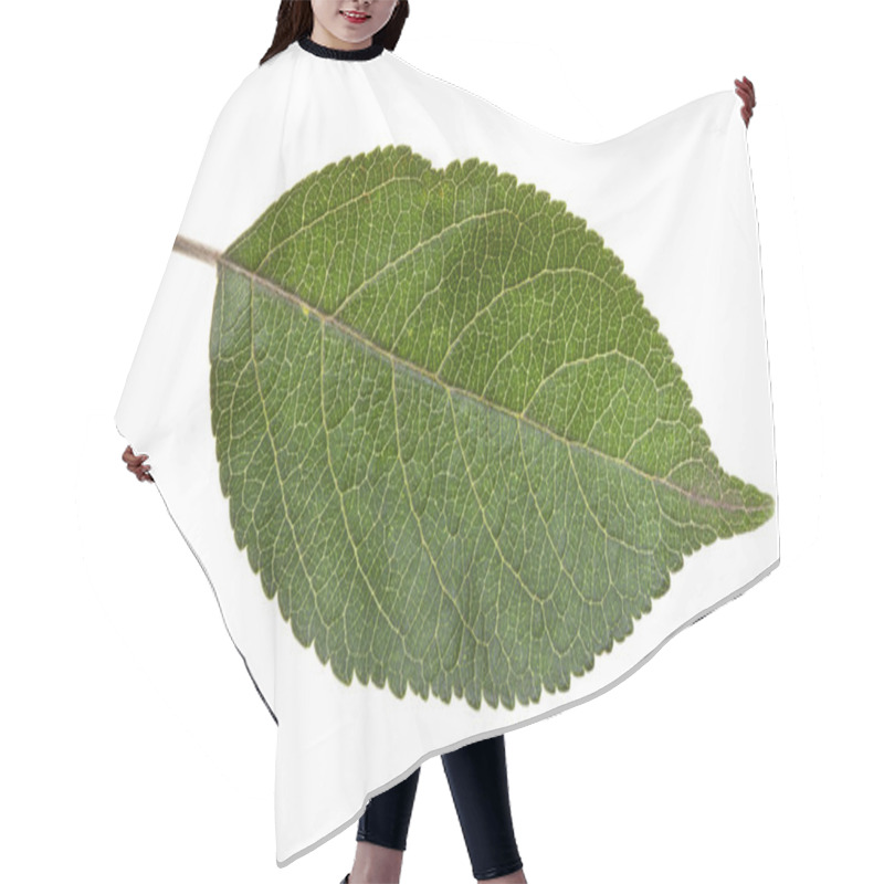 Personality  Green Leaf Of Apple Tree Hair Cutting Cape