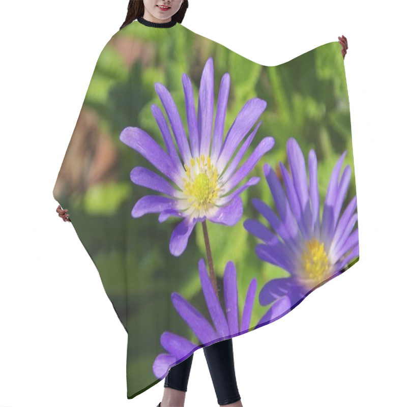 Personality  Grecian Windflower  Hair Cutting Cape