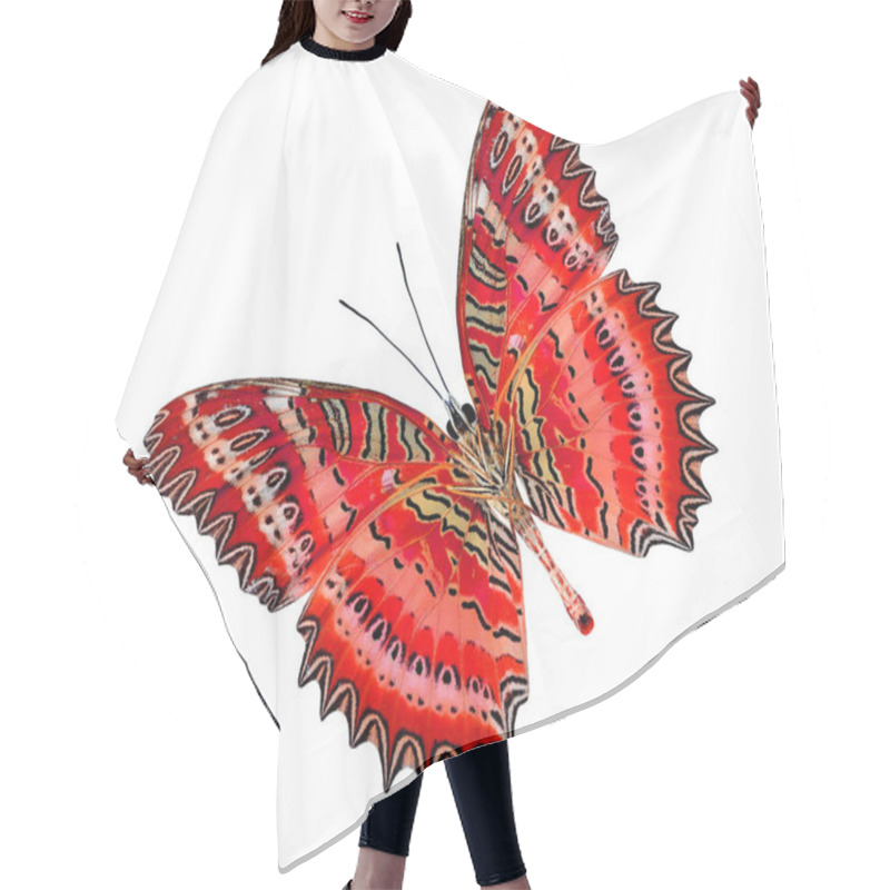 Personality  Greatest Red Lacewing Butterfly Lower Part Isolated On White Background Hair Cutting Cape