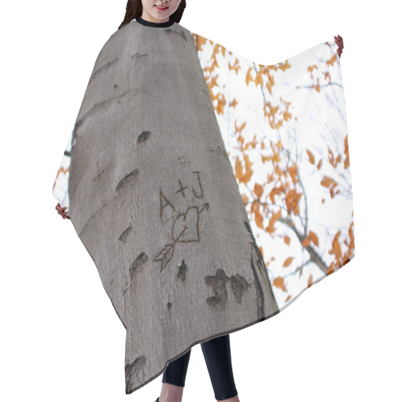 Personality  Love Tree Carving II Hair Cutting Cape