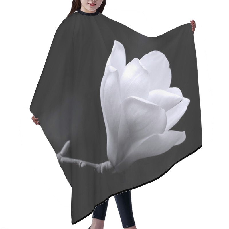 Personality  A Black And White Fine Art Portrait Of The Flower From A Magnolia Tree. Hair Cutting Cape