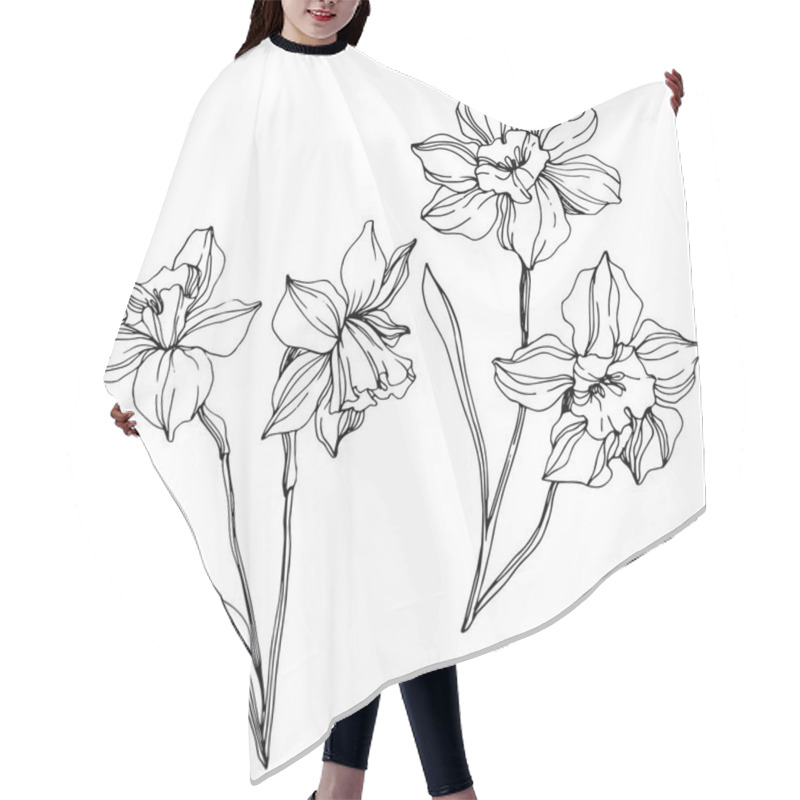 Personality  Vector Narcissus Flowers Illustration Isolated On White. Black And White Engraved Ink Art.  Hair Cutting Cape