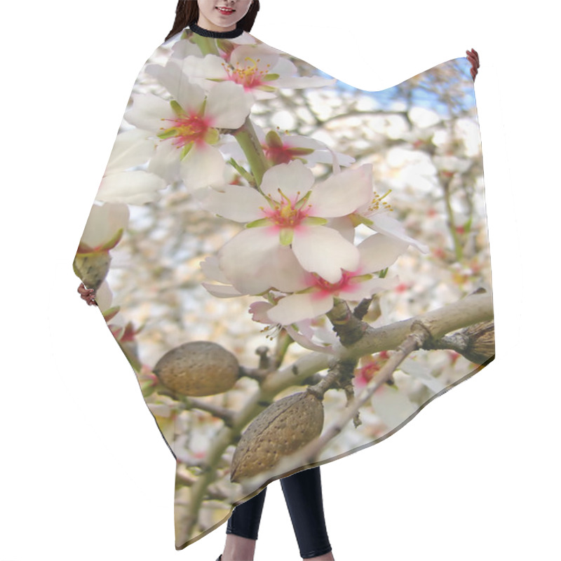 Personality  Blossom Of Almond Tree Hair Cutting Cape