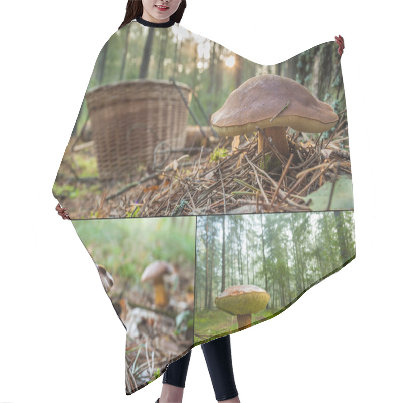 Personality  Collecting Wild Mushrooms In The Forest Hair Cutting Cape