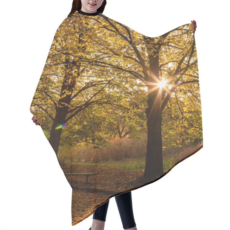 Personality  Autumn Sunny Alley In The Leaves, Through The Trees The Sun Brea Hair Cutting Cape