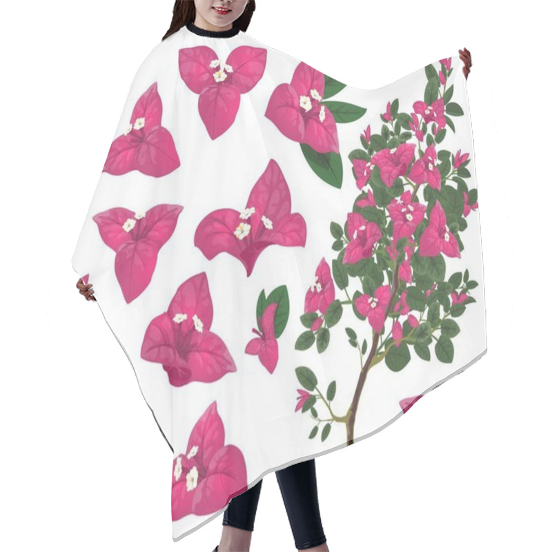 Personality  Bougainville Plant Of Mexico, Isolated Vector Bougainvillea Branch, Pink Flowers And Green Leaves. Exotic Mexican Blossoms, Evergreen Plant Growing In Peru And South America, Realistic 3d Icons Set Hair Cutting Cape