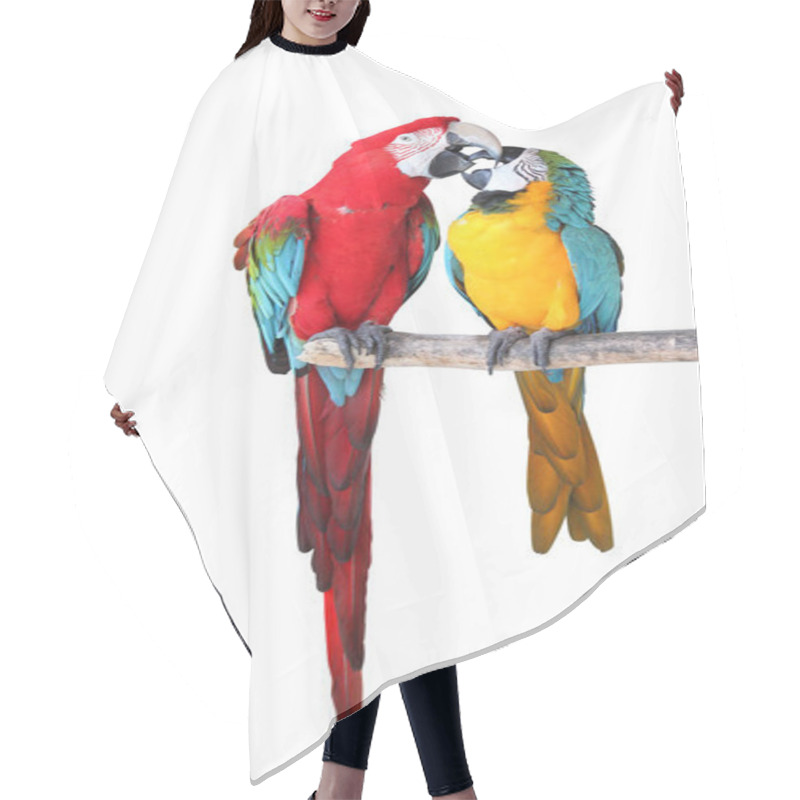 Personality  Scenic View Of Beautiful Parrot Bird Hair Cutting Cape