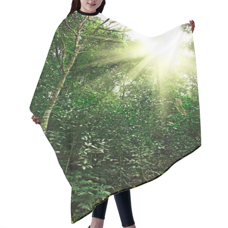 Personality  Sunlight In Tropical Jungle Forest Hair Cutting Cape