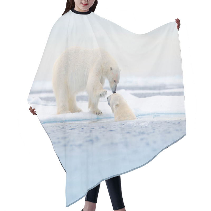 Personality  Two Polar Bears Relaxed On Drifting Ice With Snow, White Animals In The Nature Habitat, Svalbard, Norway. Two Animals Playing In Snow, Arctic Wildlife. Funny Image From Nature.  Hair Cutting Cape