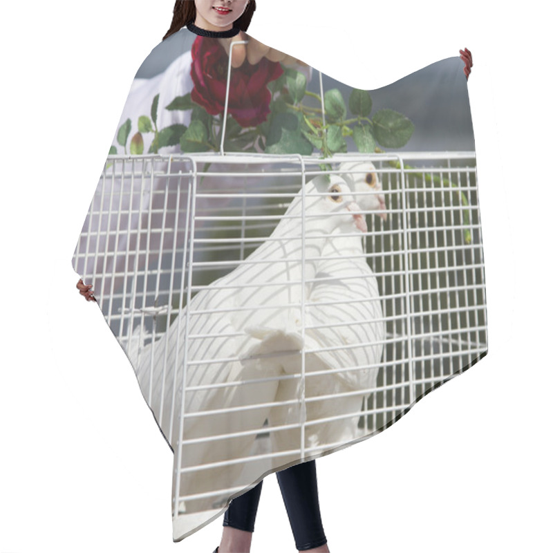 Personality  A Pair Of White Doves In A Cage, Decorated With A Red Rose Hair Cutting Cape